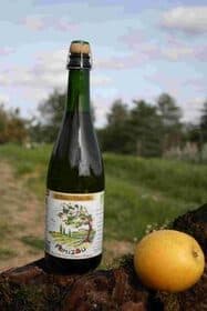 Cidre brut artisanal